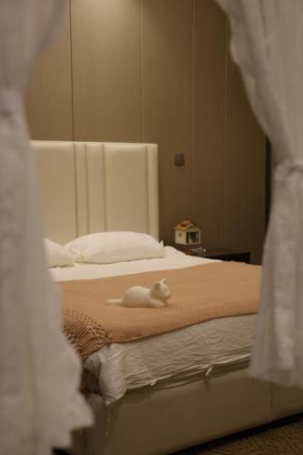 Business Bay Apartment | 温馨可爱的整套公寓