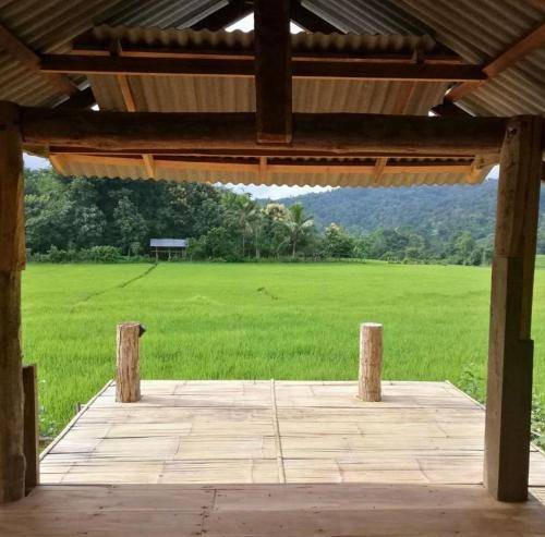 Chiang Dao Bed & Breakfast | 12 m² Bed and breakfast ∙ 6 guests
