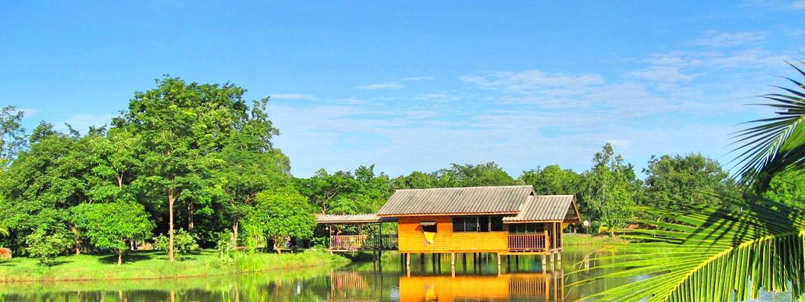 Phon Thong Resort | 140 m² Resort ∙ 2 bedrooms ∙ 7 guests
