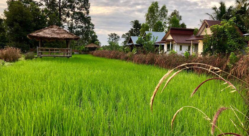 Prasat Resort | 18 m² Resort ∙ 2 guests