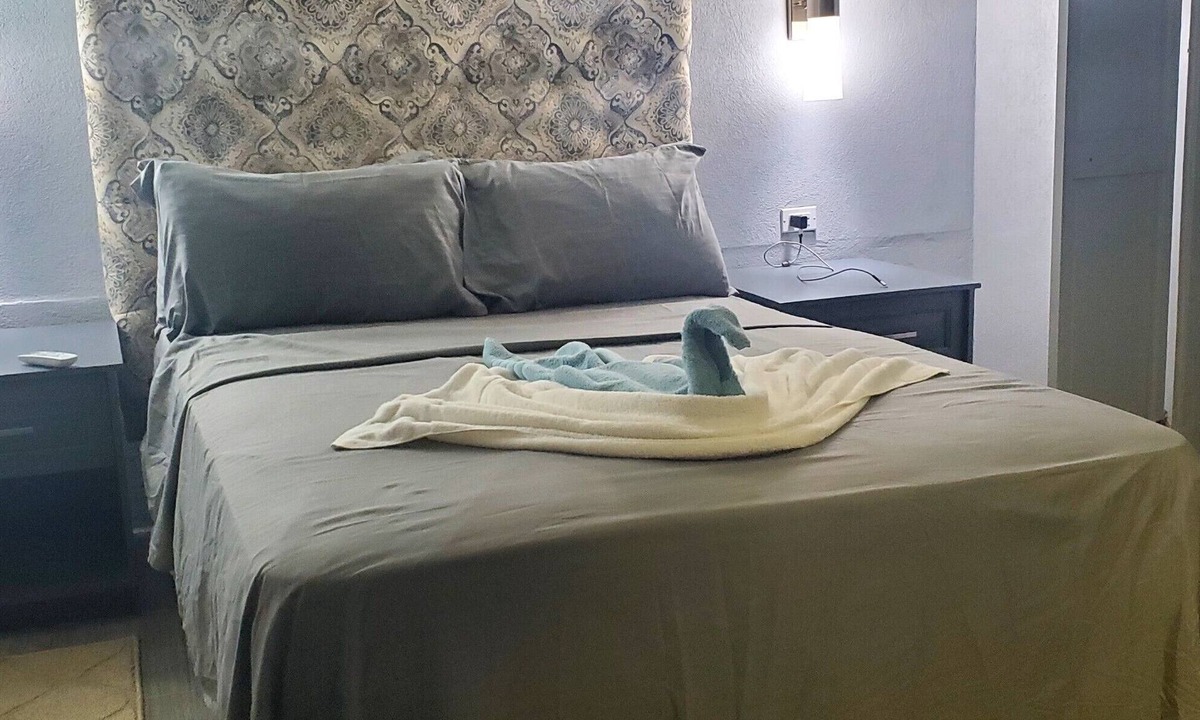 Lascelles Apartment | Almond Tree Studio - Modern A/C Apartment w/2 Queen beds in St. James