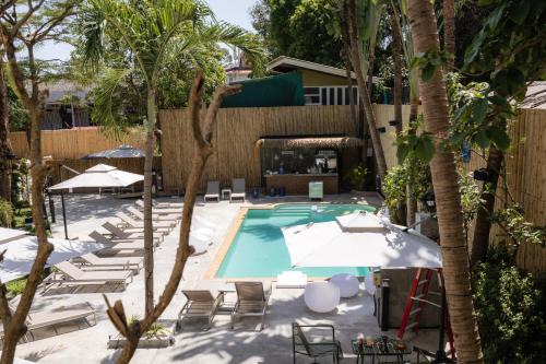 Chaweng City Center Hotel | Aloha Tropicana Samui