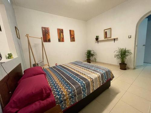 La Condesa Apartment | Amatlan