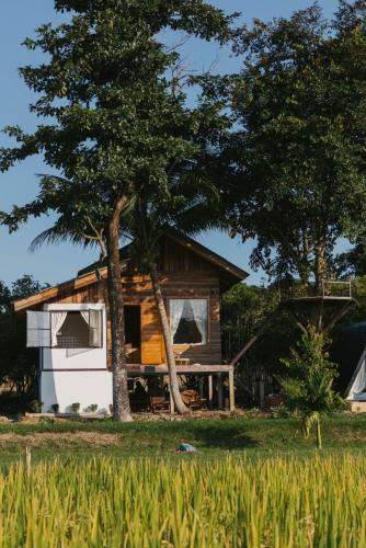 Fang House | Baanfanglamoon