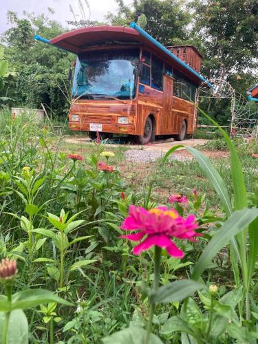 Phrao House | Bus Resort