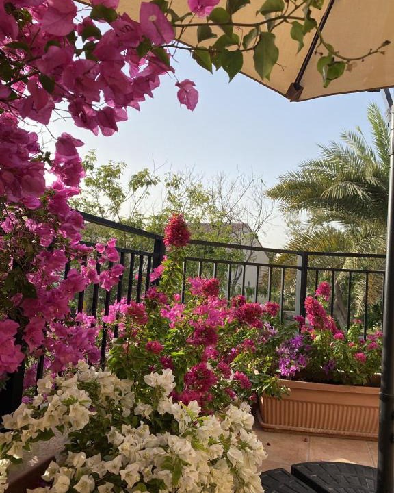 Dubai Investment Park Bed & Breakfast | Cherrywood House