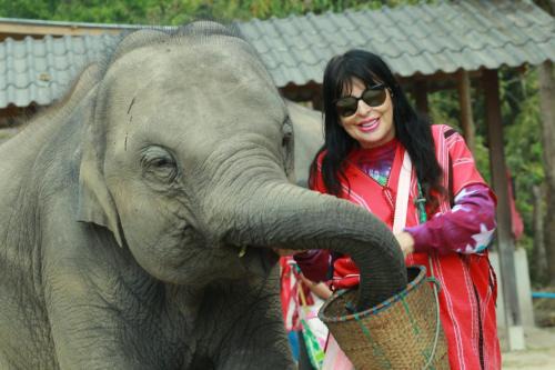 Hang Dong House | Elephant Jungle Eco Stay Chiang Mai