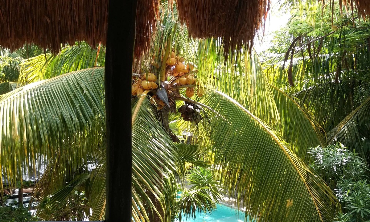 La Veleta Hotel | Green Tulum