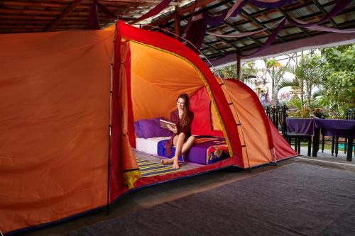 Toya Bungkah Other | Hiker's Camp at Toya Devasya