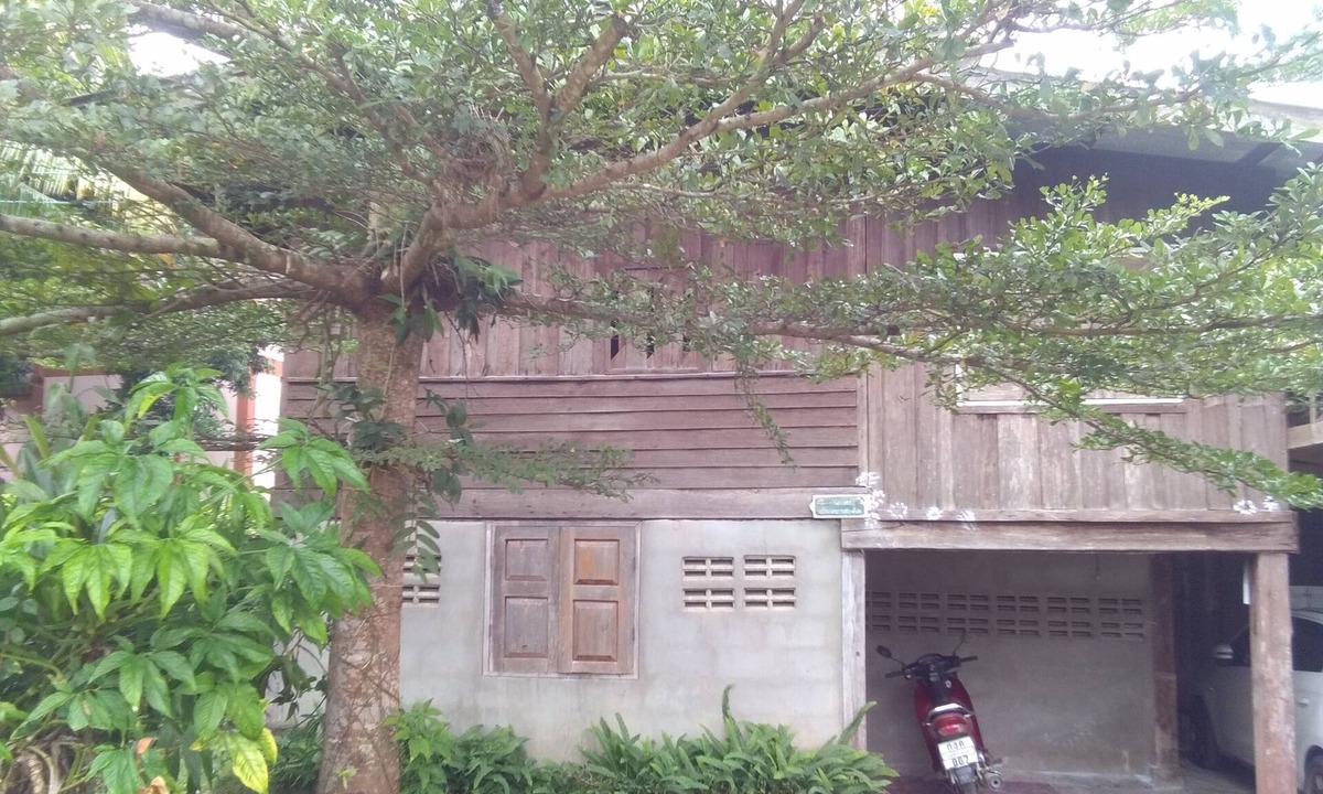 Pai House | Host family Pai learning nature (free pick up)