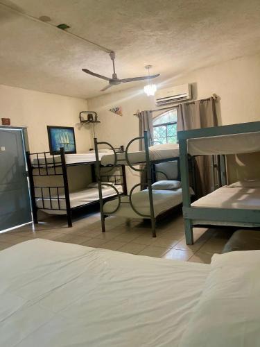 Bacalar Hostel | Hostalito Lahar
