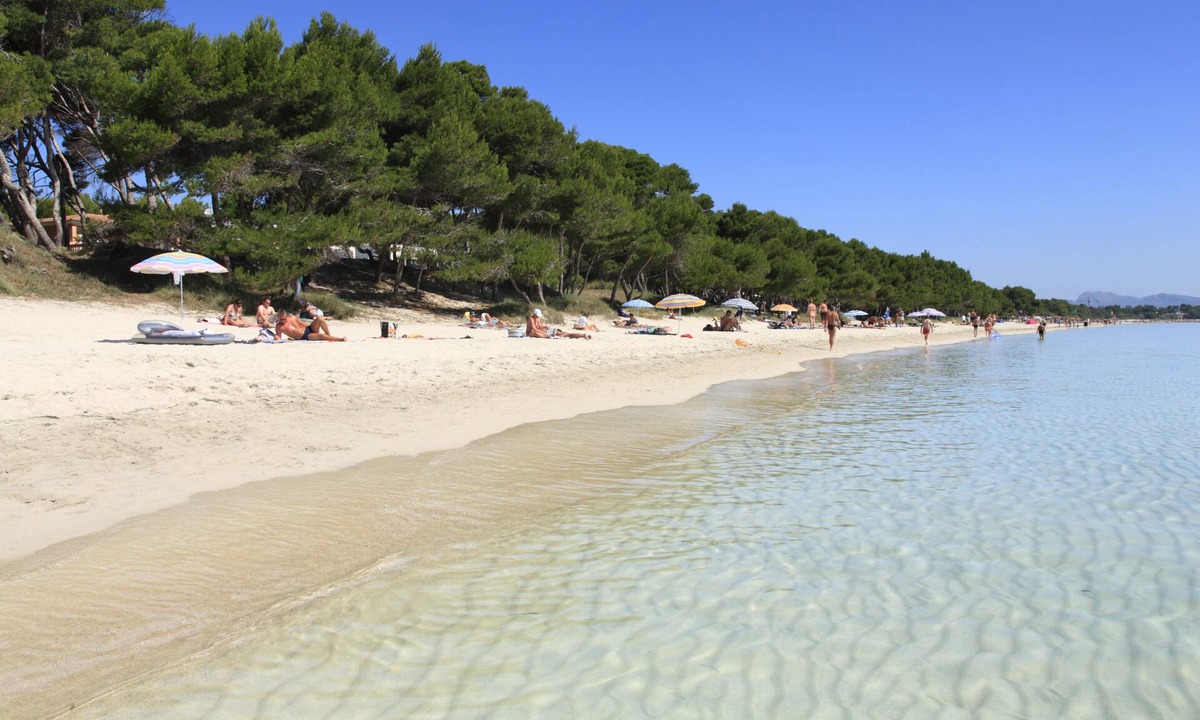 Cala Agulla Hotel | Hotel Bella Playa & Spa