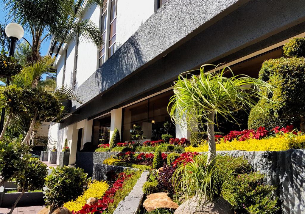 Zona Minerva Hotel | Hotel Las Pergolas