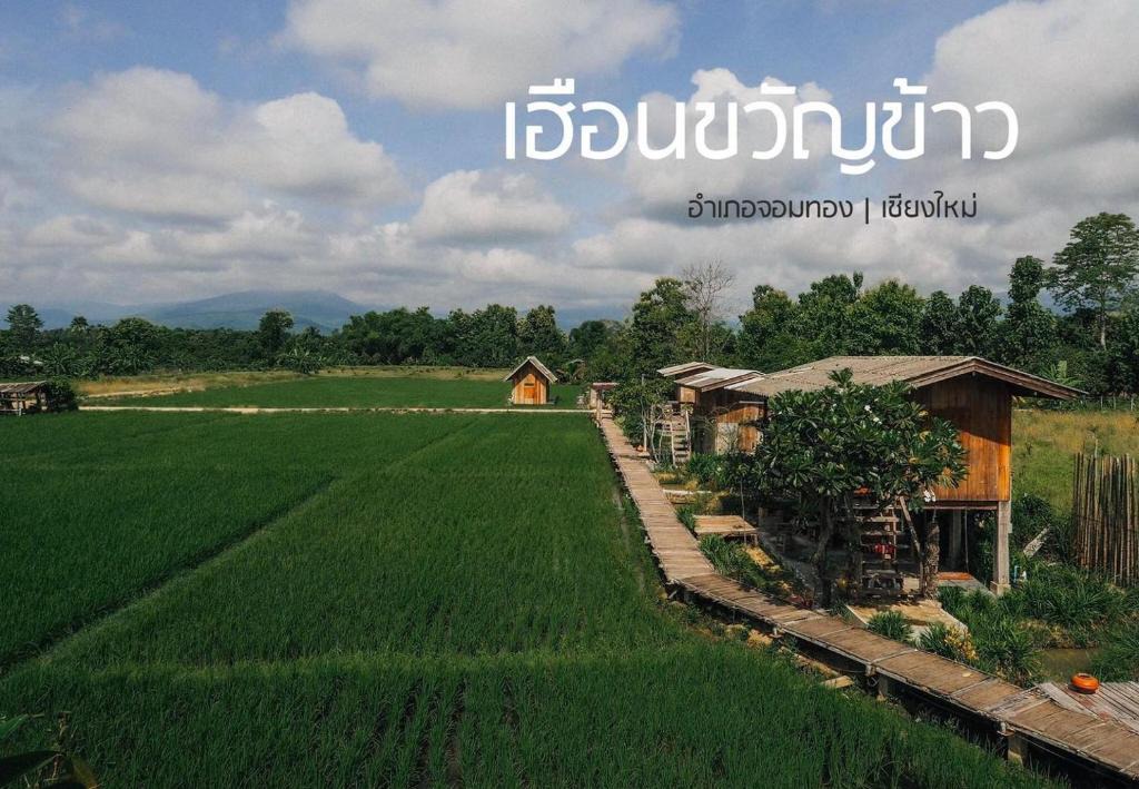 Chom Thong House | hueankwankao เฮือนขวัญข้าว