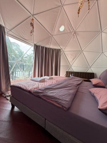 Baan Tai Hostel | Infinity Beach Club Resort & Hostel Koh Phangan
