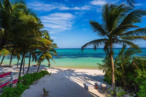 Soliman Bay Apartment | Luxury Beachfront 3BR Apt 102 | Neea Bahia Soliman