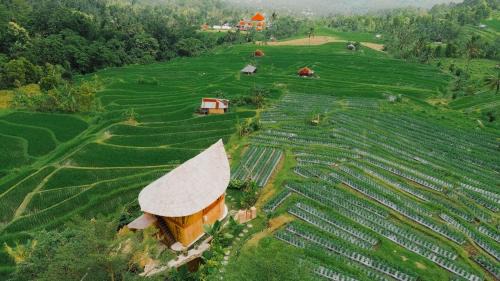Sukasada Villa | Nirwana Bamboo Villa Eco Retreat in North Bali