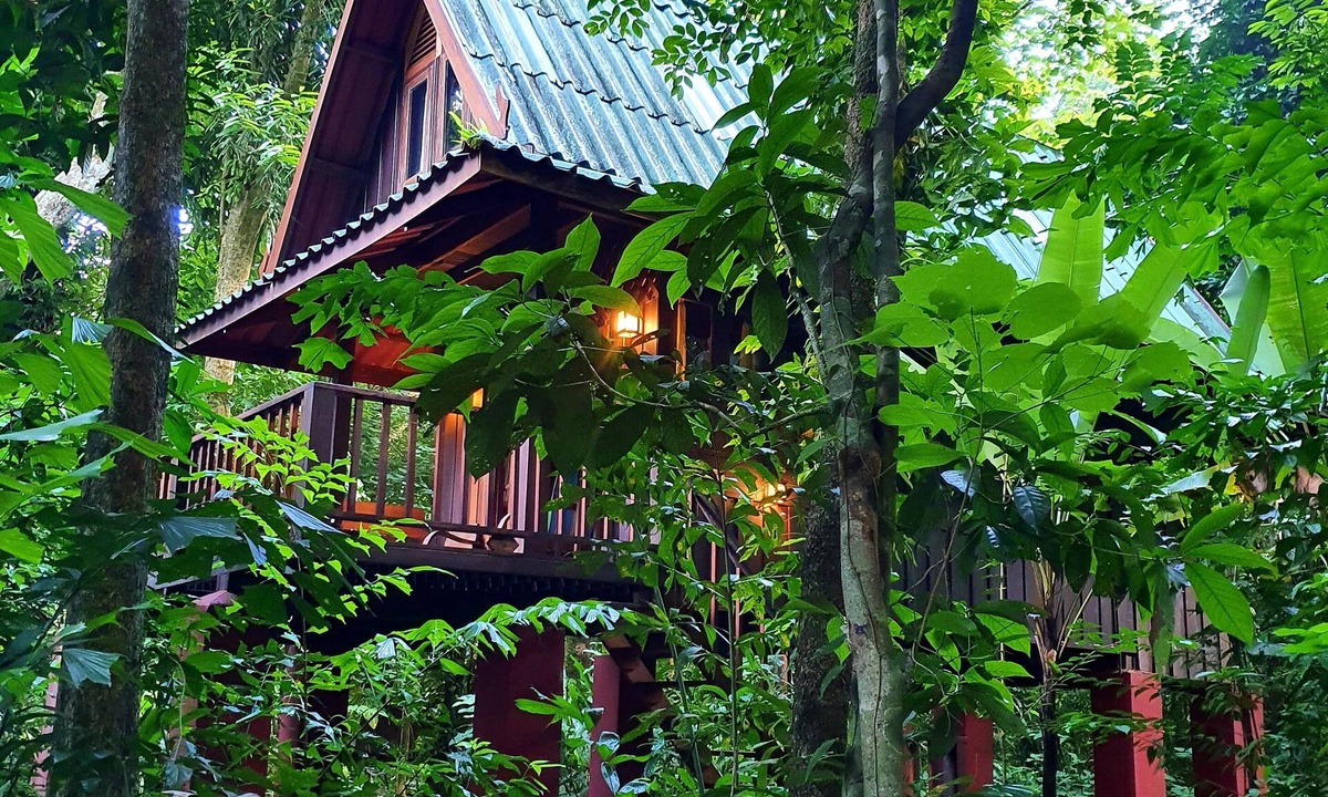 Khlong Sok Hotel | Our Jungle House