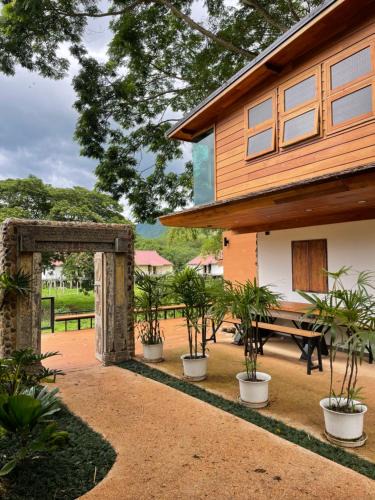 Pai House | Parkside Pai