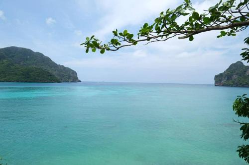 Ko Phi Phi House | Phi Phi Oceanview Hill Bungalows