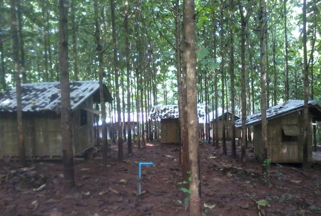Samoeng Resort | Private room ∙ 1 guest