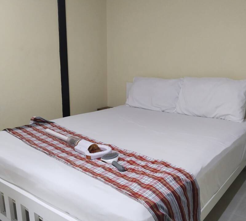 Don Muang Resort | Private room ∙ 2 guests