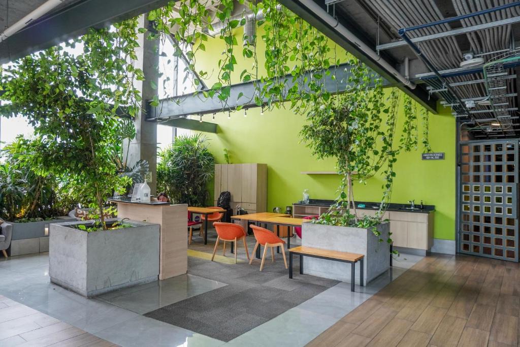 Monterrey Centro Apartment | Purísima 5 0