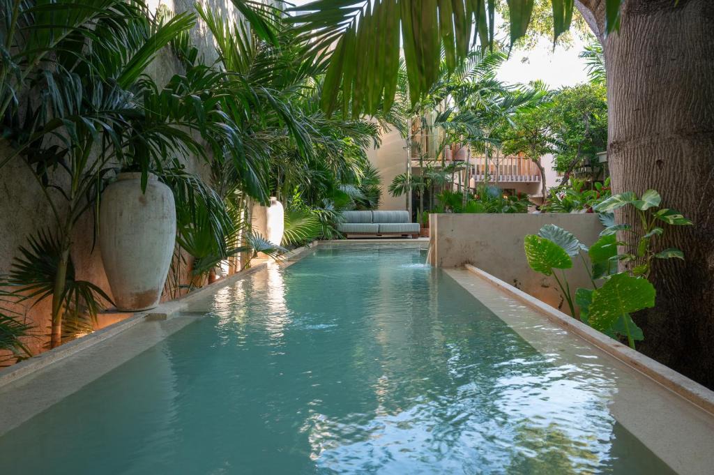 Barrio de Santiago Hotel | Querida Casa - Mérida Centro