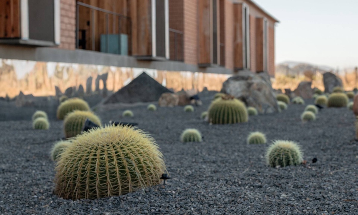 Valle de Guadalupe Bed & Breakfast | Santulan