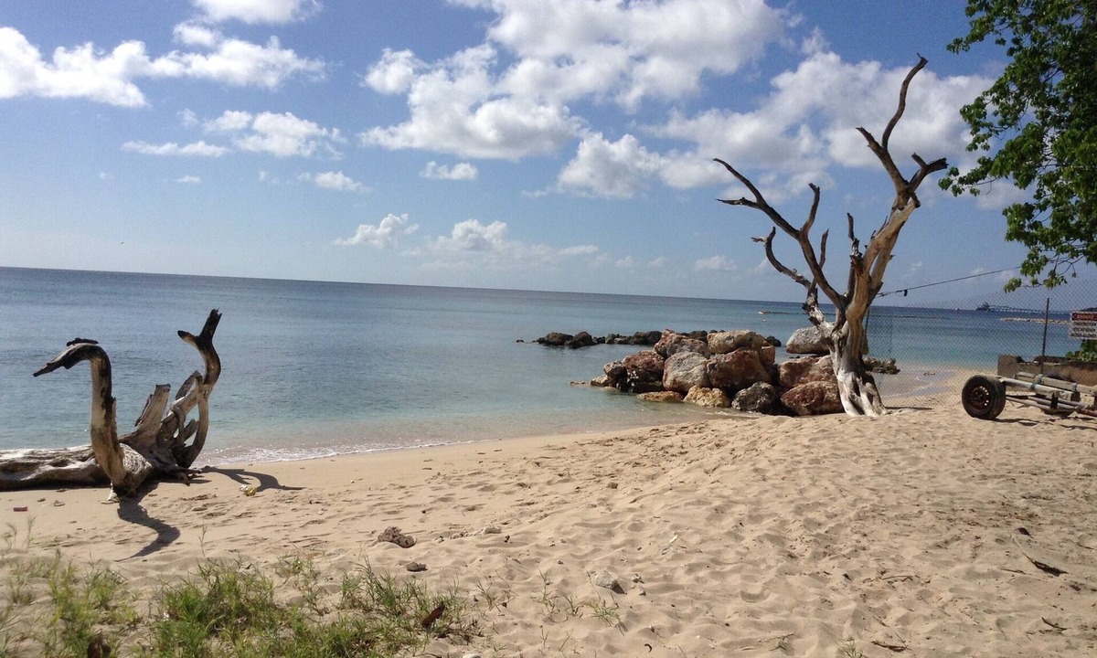 Douglas Apartment | SilverDollar 1 - 200 meters from Heywoods Beach
