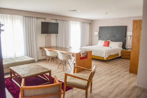 Irapuato Apartment | Stain Loft & Suites