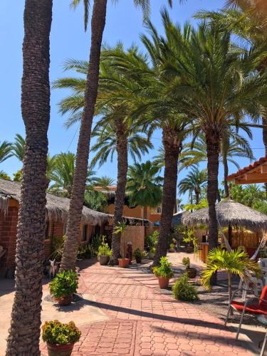 Loreto Hotel | Sukasa Bungalows