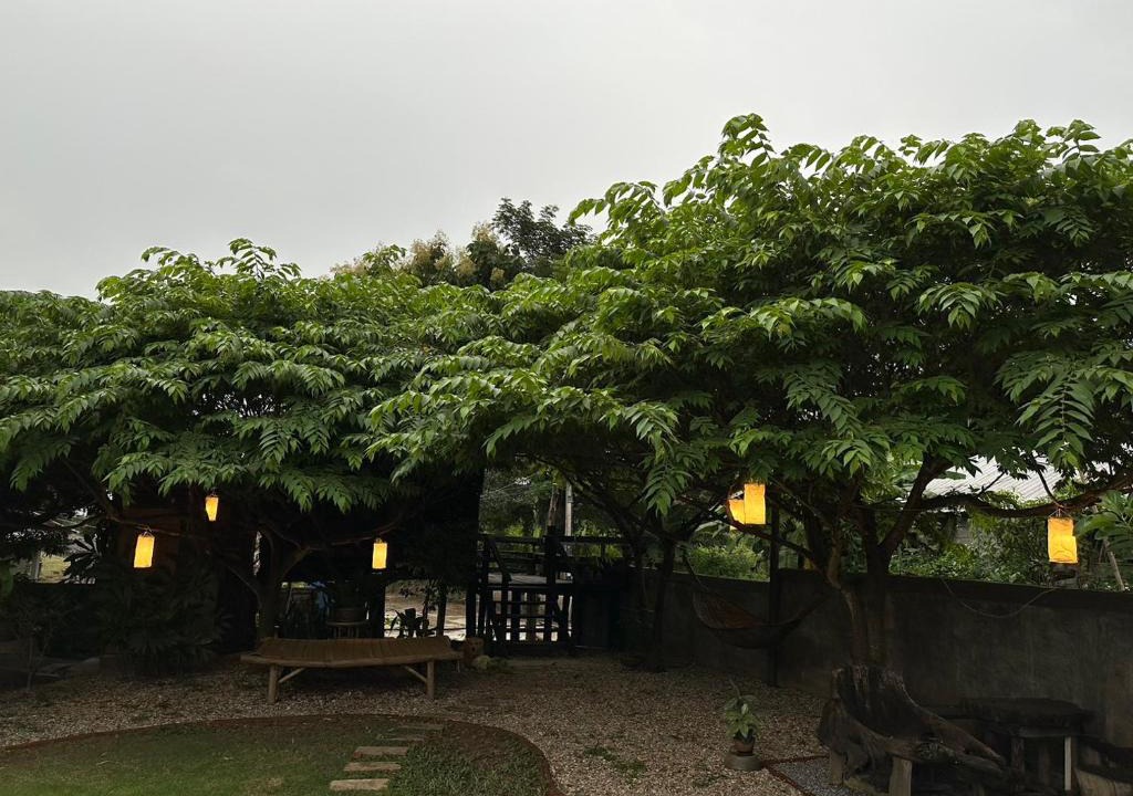 Mae Ai House | The Legend Homestay.