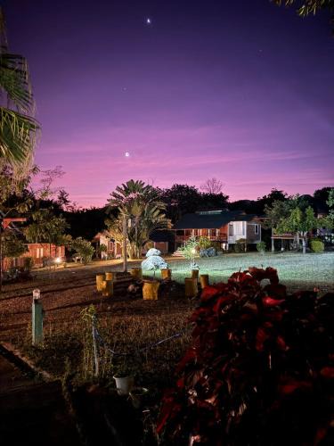 Mae Hi Resort | The Nest, Pai Love Resort