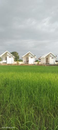 Chae Hom House | Tiny house homestay T2 Old