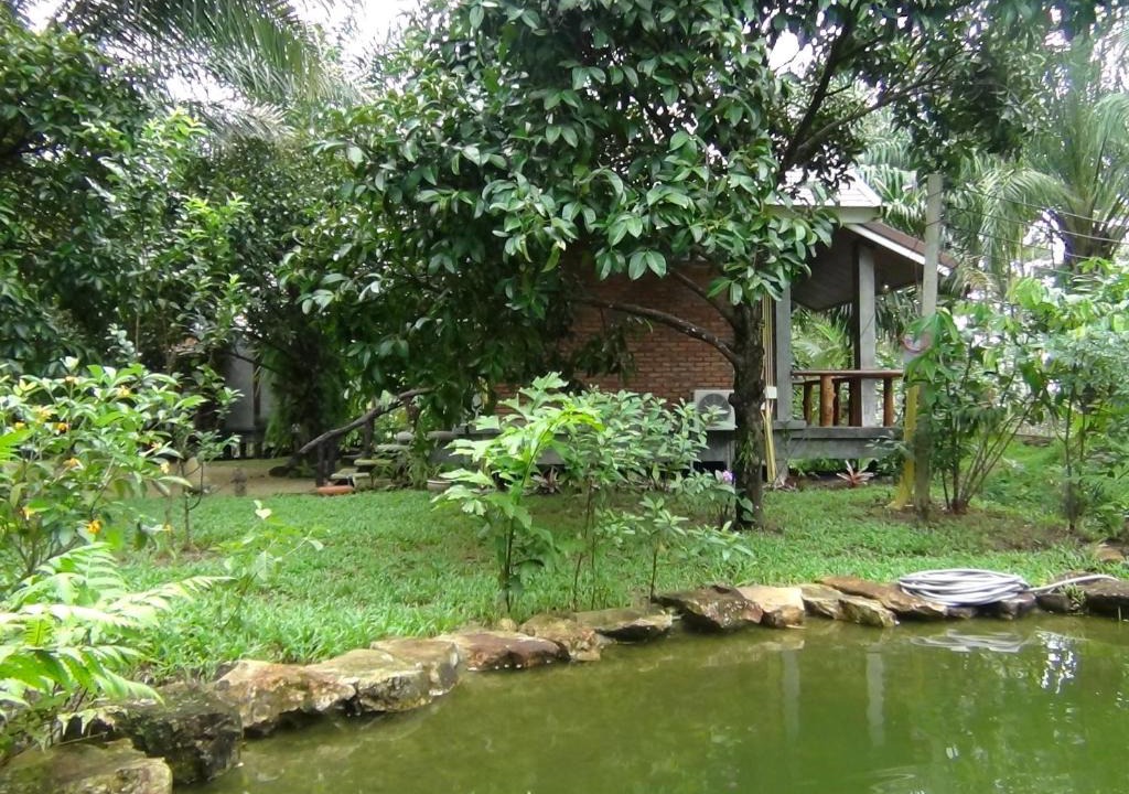 Thai Mueang House | Tuaprodhome