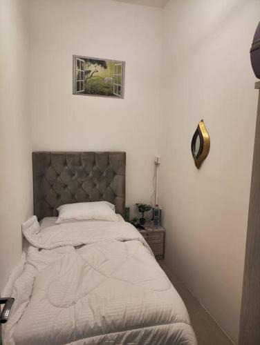 Ajman Apartment | VIP bed private partition