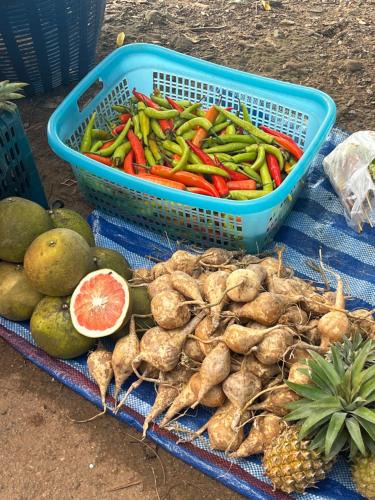 Mueang Ngai Other | Yidan Farmstay in Chiang Dao
