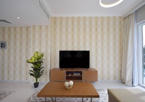 1 BR Apartment with Large Balcony - JVC