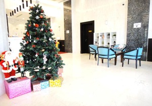 Al Jaddaf Star Residence