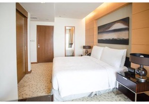 Dubai Mall Residences -Luxury 1 bedroom