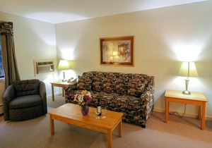 Efficiency with Sleeper Sofa only 214