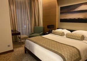 Luxury 1 Bed I Dubai Downtown