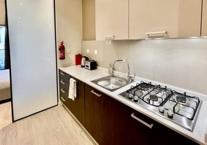 Park View Spacious Studio with Balcony