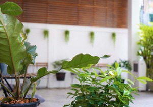 Silom Studios