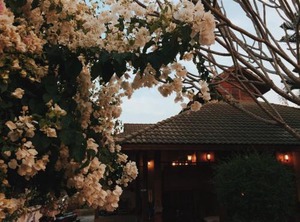 Baan Mai Sak | Pai