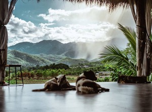 Deejai Pai Backpackers Adults | Pai