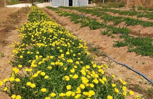 Si Mahosot House | 100 m² House ∙ 1 bedroom ∙ 1 guest