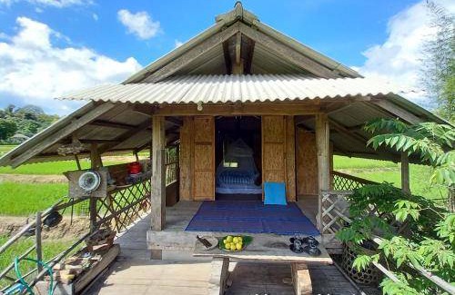 Chiang Dao Bed & Breakfast | 12 m² Bed and breakfast ∙ 6 guests