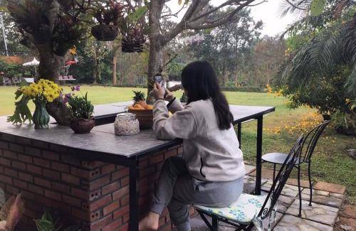 Chiang Dao Bed & Breakfast | 180 m² Bed and breakfast ∙ 3 guests